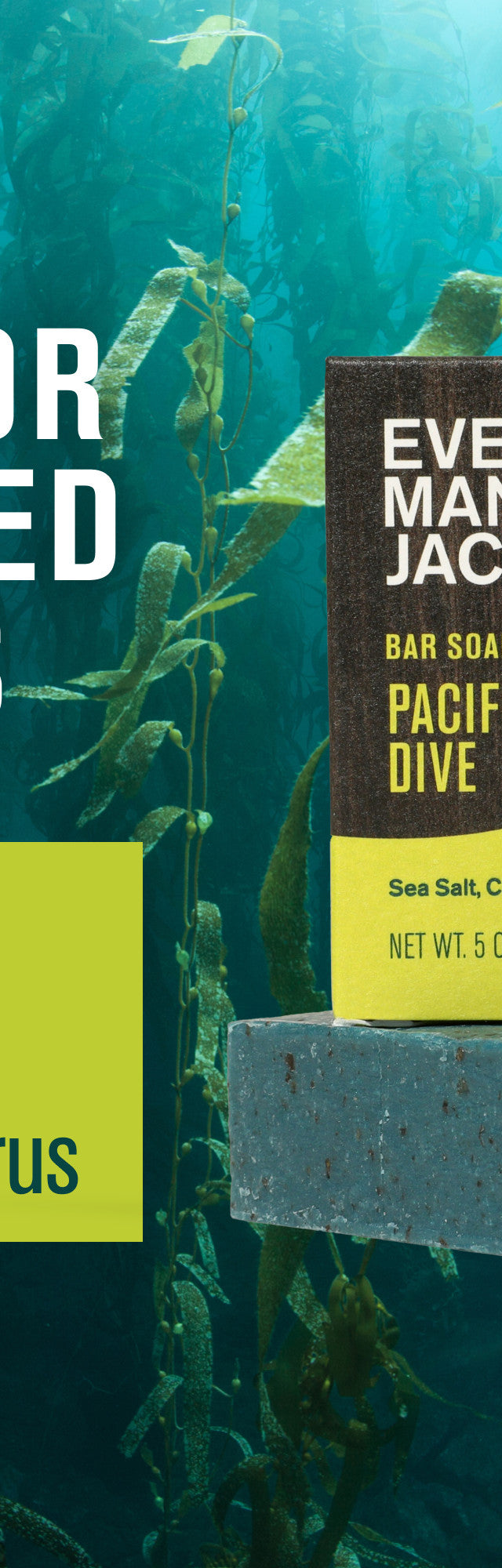 Pacific Dive / Standard