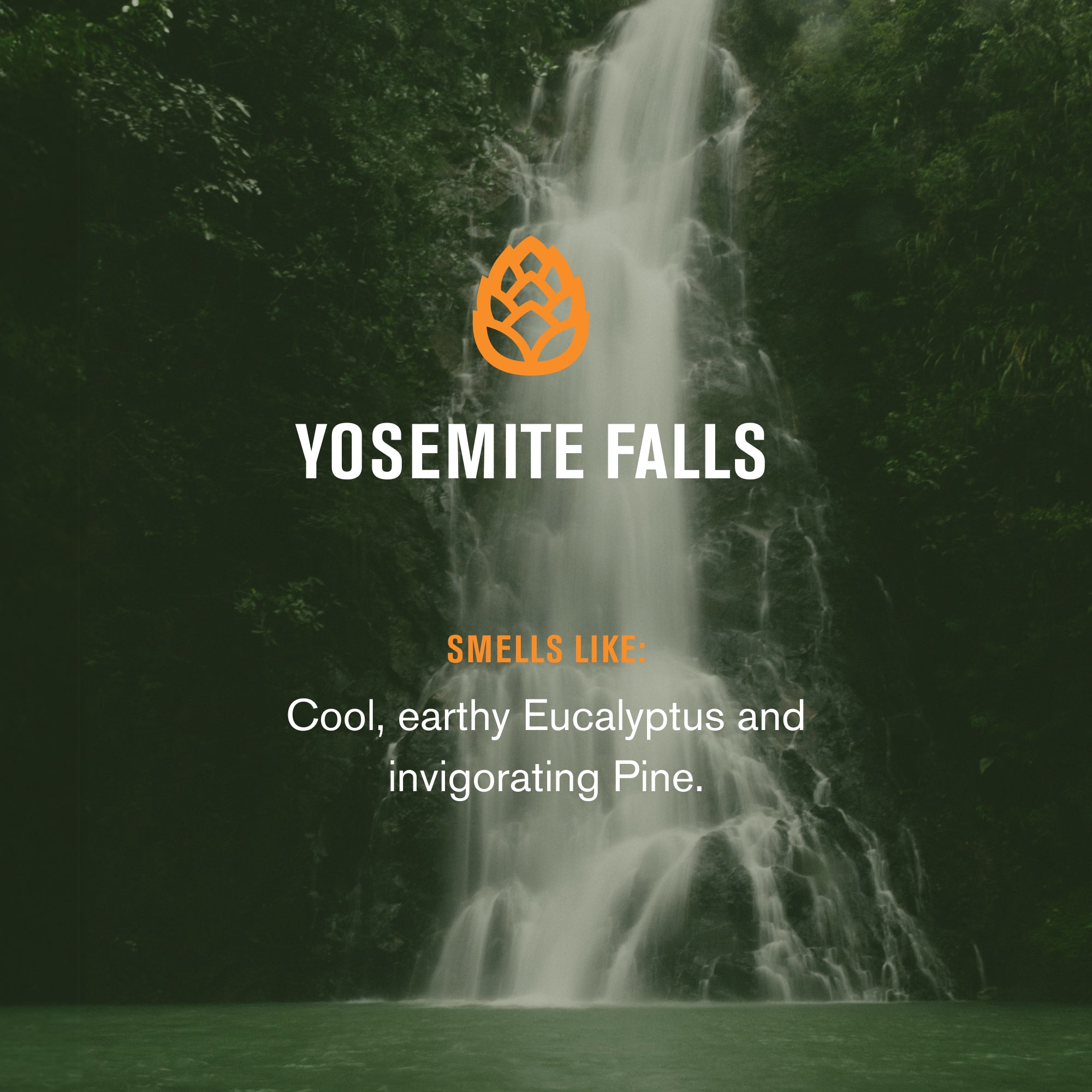Yosemite Falls / Standard