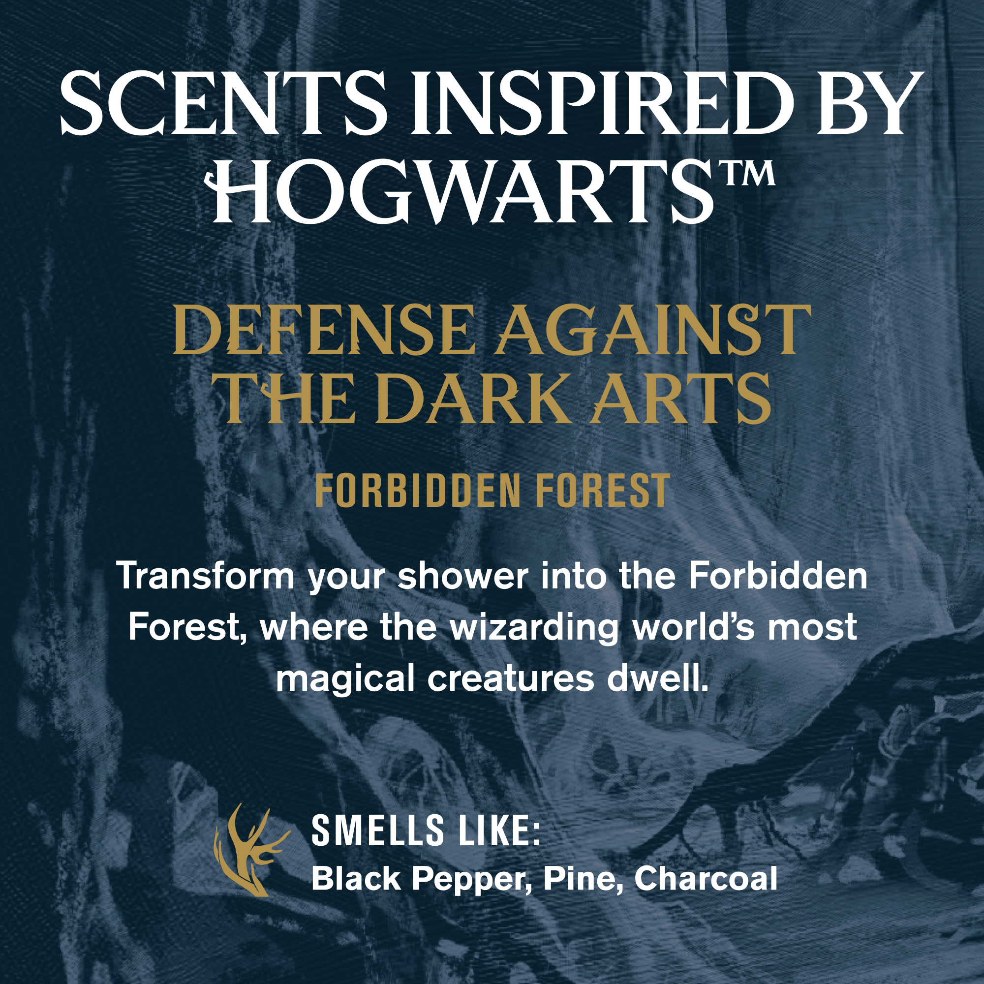 Forbidden Forest (878639014527)