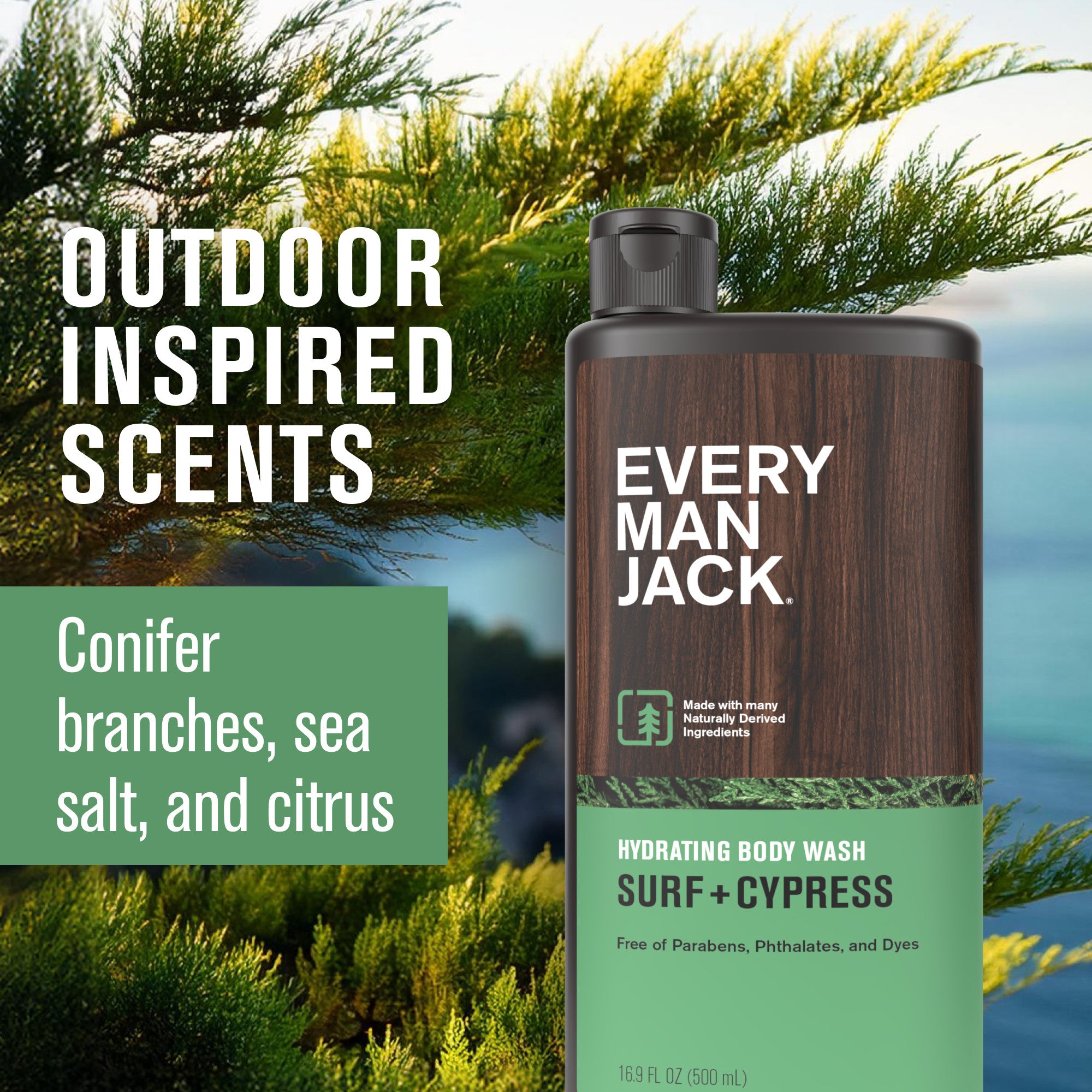 Surf + Cypress/ Standard (7346569117858)