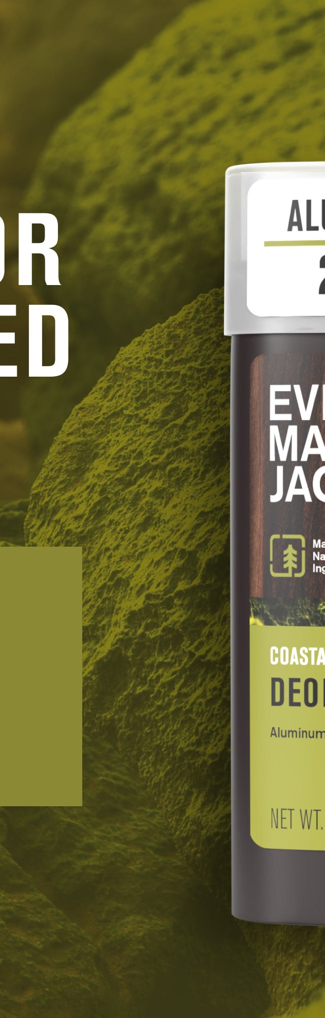 Coastal Forest / Standard