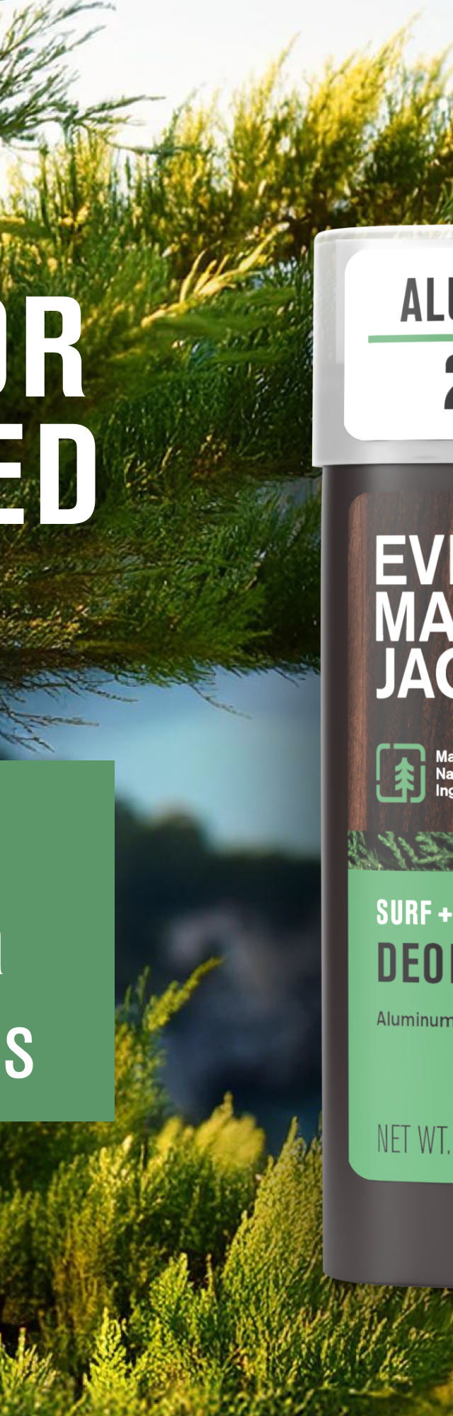 Surf + Cypress / Standard (7863901722)