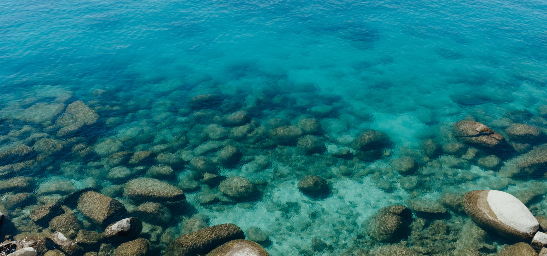 Underwater view of rocks and clear blue water, representing the Cold Plunge bar soap's natural inspiration.