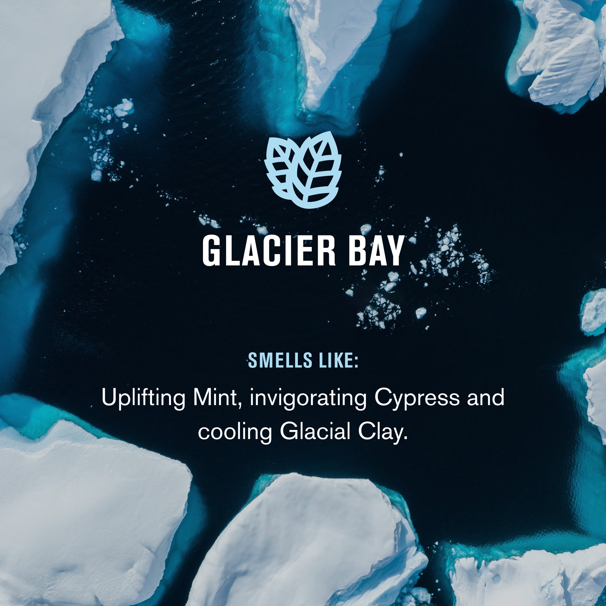 Glacier Bay / Standard