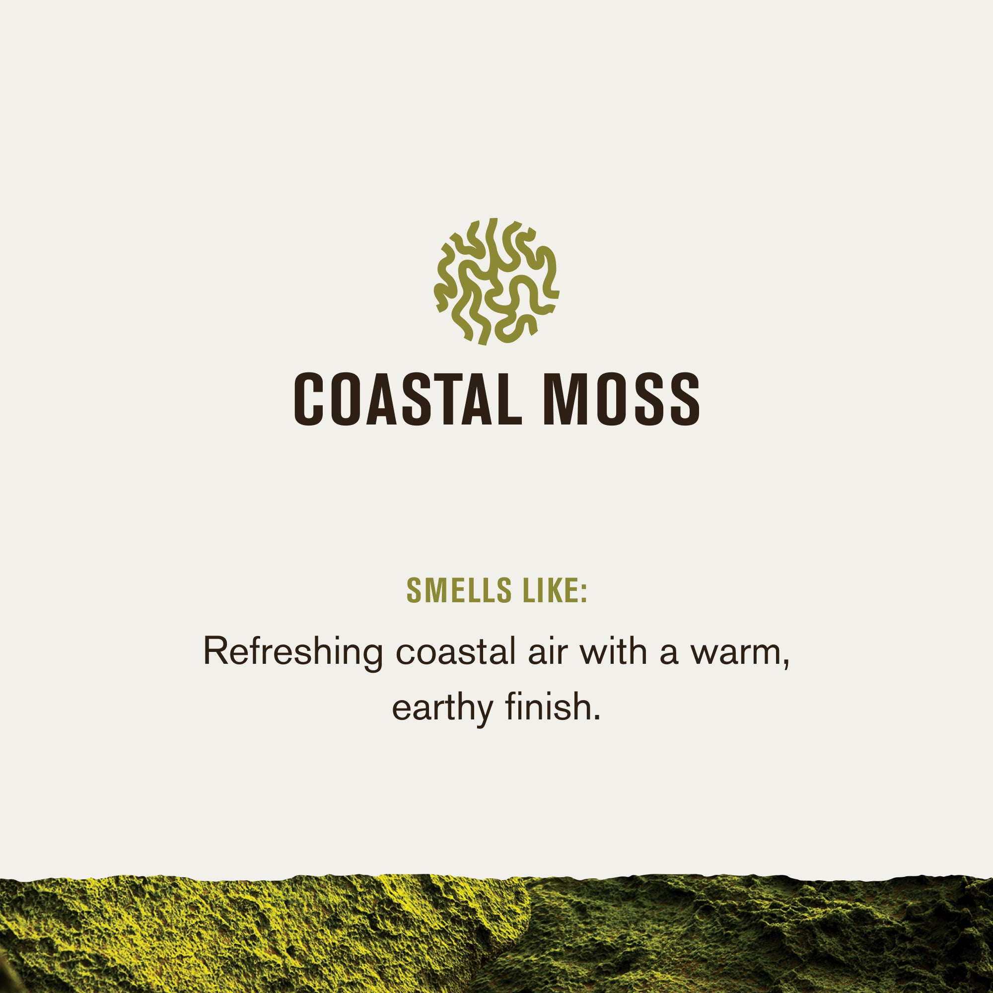 Coastal Moss
