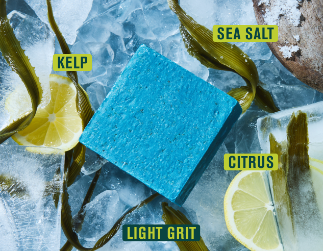 Cold Plunge bar soap with ingredients: Sea Salt, Kelp, Citrus, Light Grit