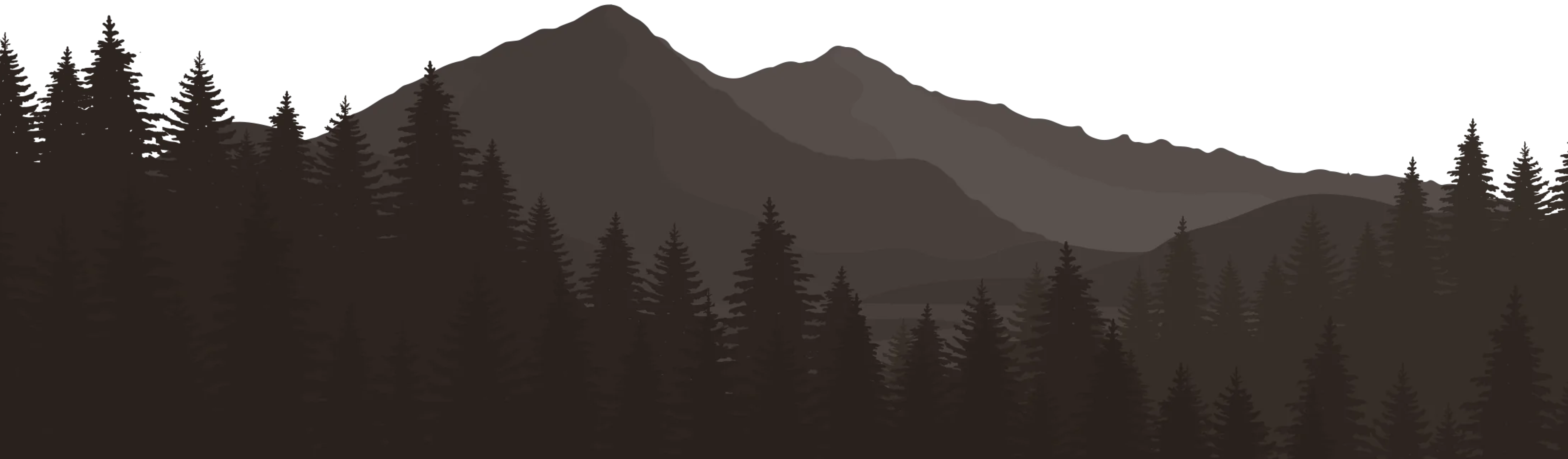 Silhouette of mountains and pine trees against a dark background