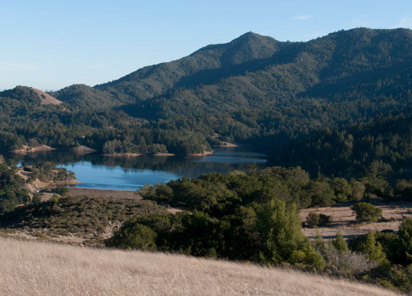 About Page Hero Banner - Picture of Mt. Tam, CA