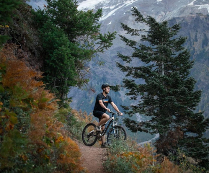 Mountain biker riding on a trail surrounded by trees and mountains