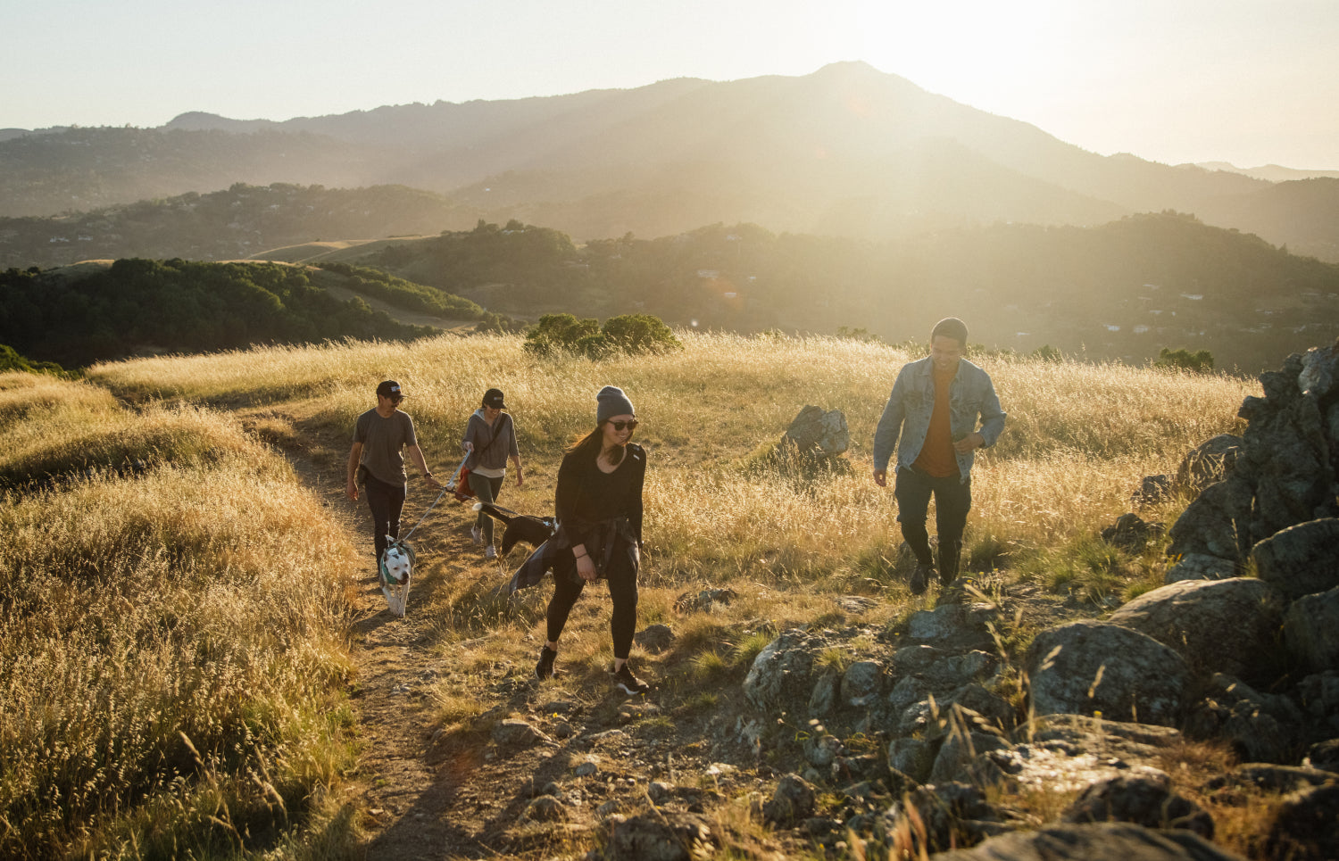 Four people hiking on a trail in a grassy landscape with mountains in the background during sunset.