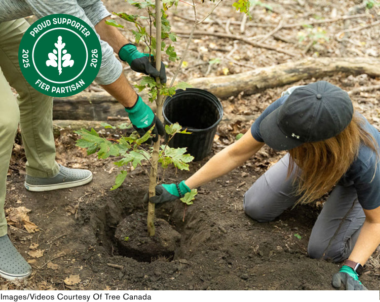 A person planting a tree in a forested area, wearing gloves and kneeling beside a hole.