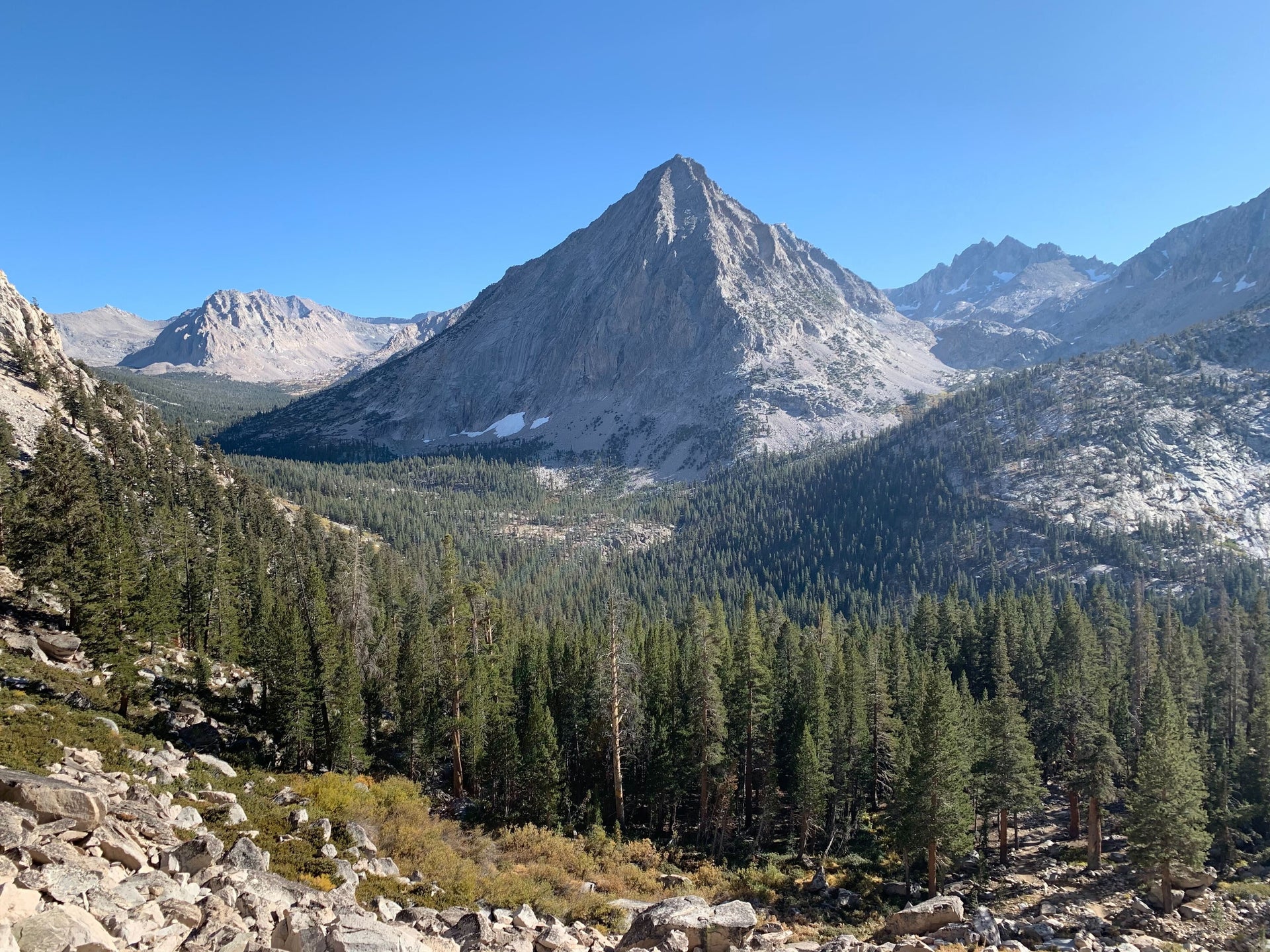 Granite mountain peak rising above a dense conifer forest with a clear blue sky