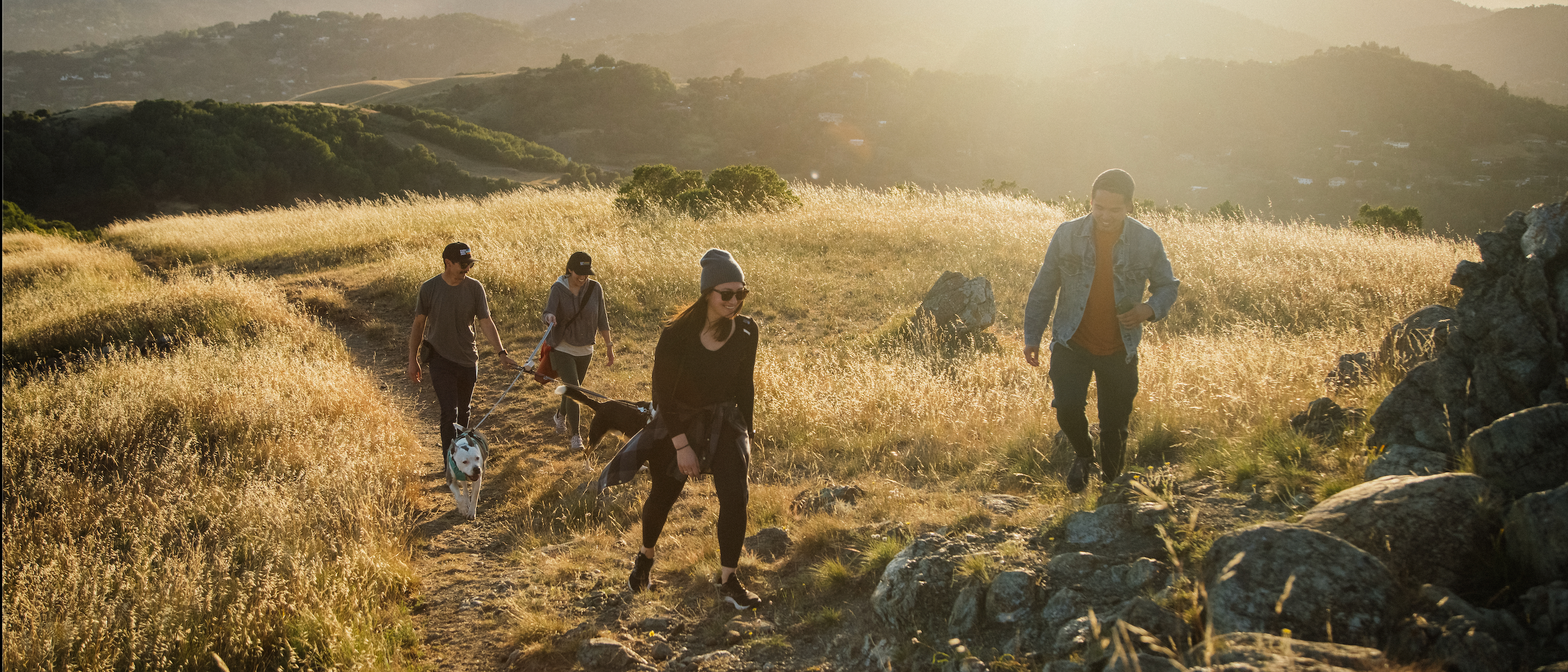 Four people hiking on a trail in a sunlit landscape with grass and rocks.