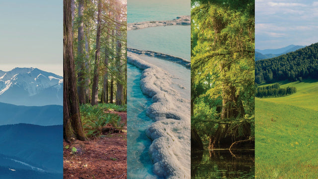How We Turn Real Places Into Unreal Scents