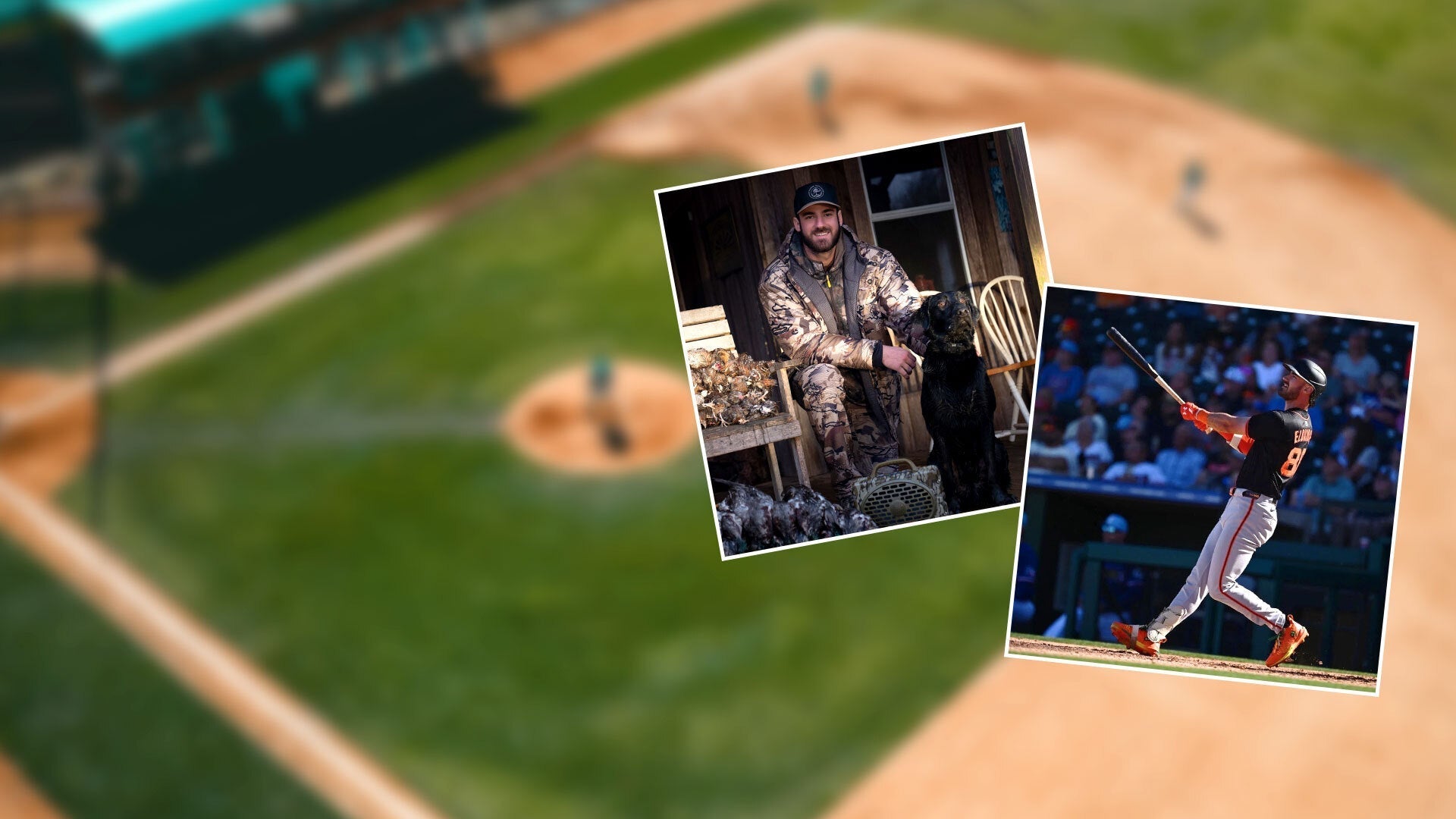 Collage over blurred baseball field: hunter in camouflage with dog and game birds (left); baseball player batting (right).