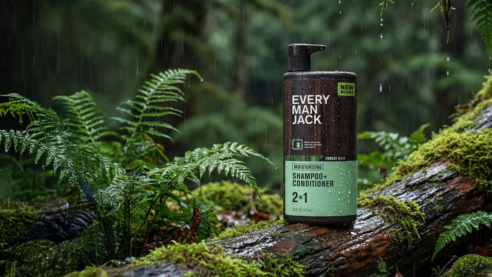 Forest Rain