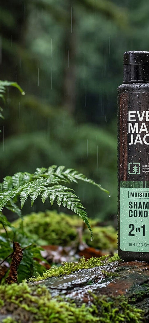Forest Rain