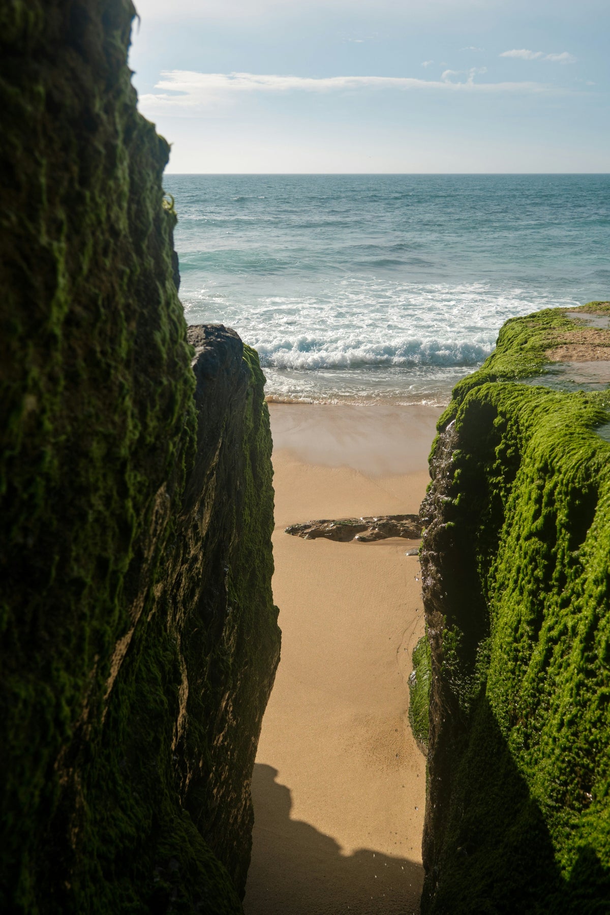 Moss-covered rocks on a beach with ocean view