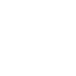 Money back guarantee icon