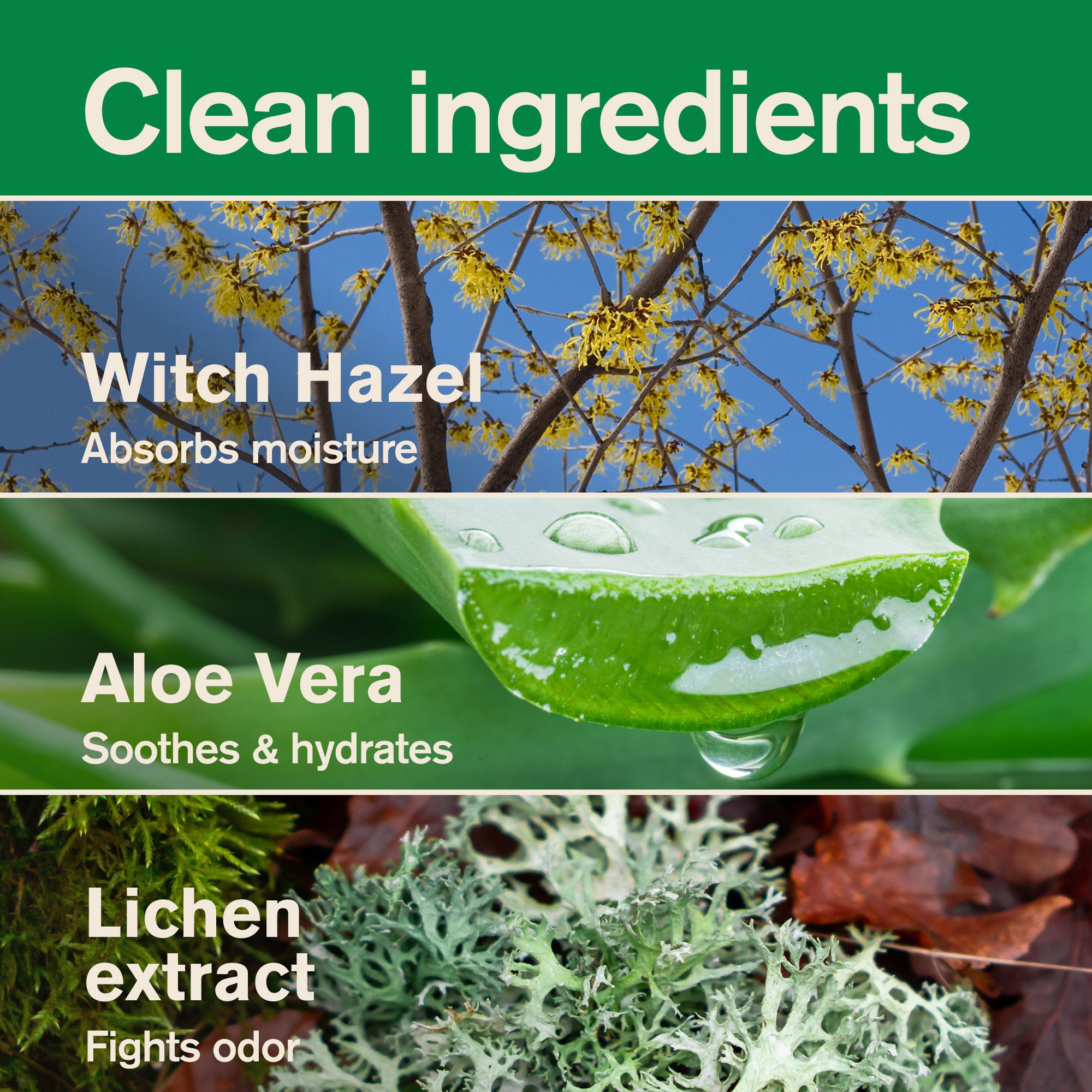 Perfect Bracket Breeze / Standard