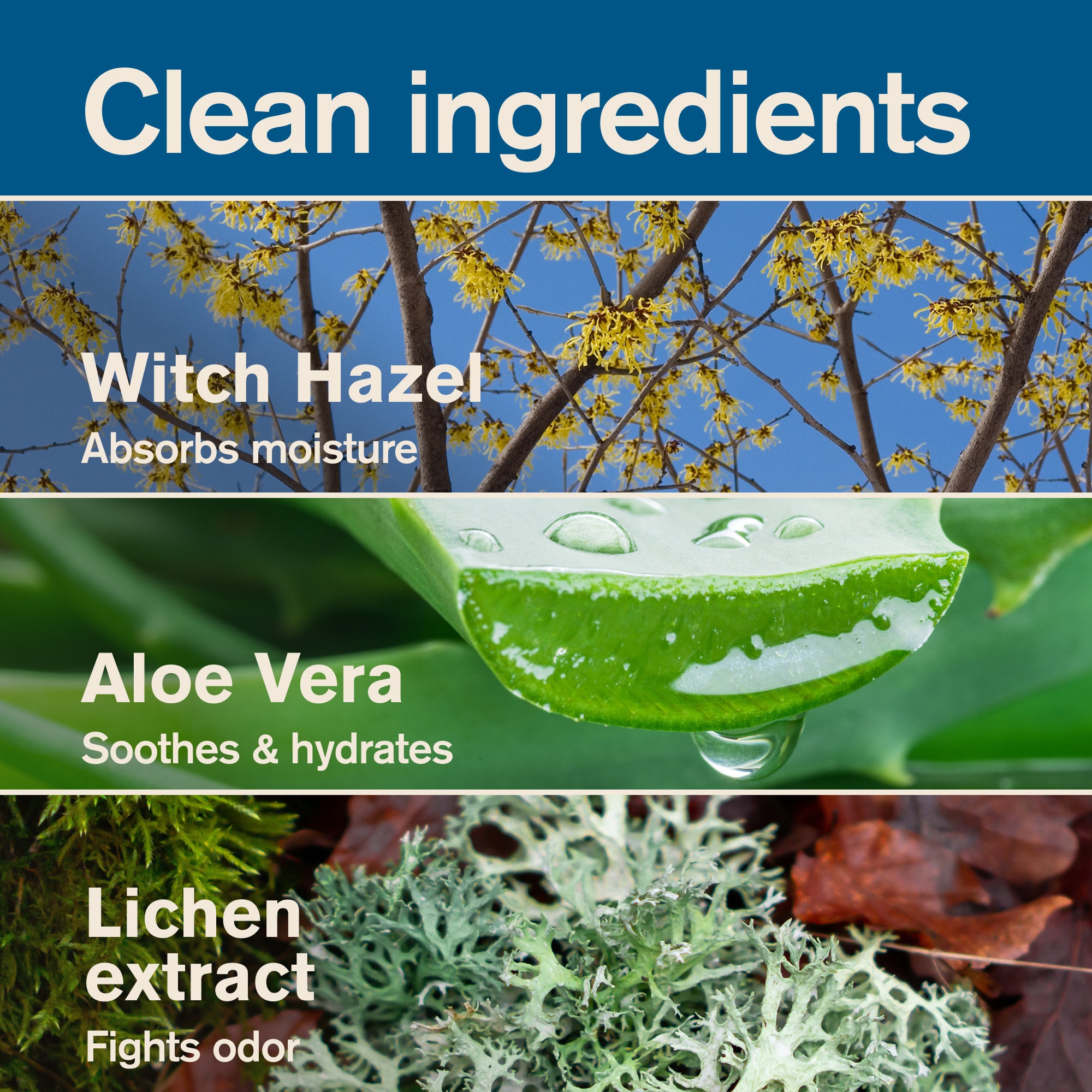 Court Storm Sea Spray / Standard