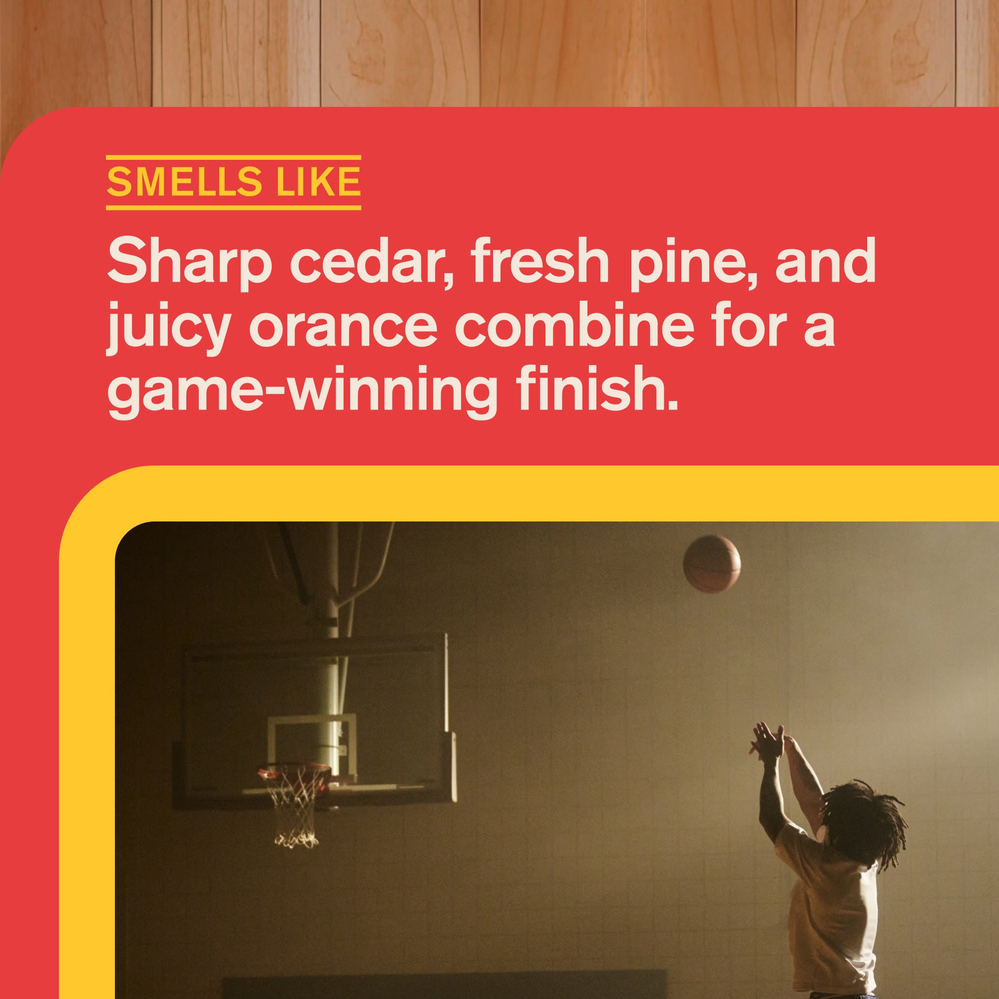 Buzzer Beater Cedar / Standard