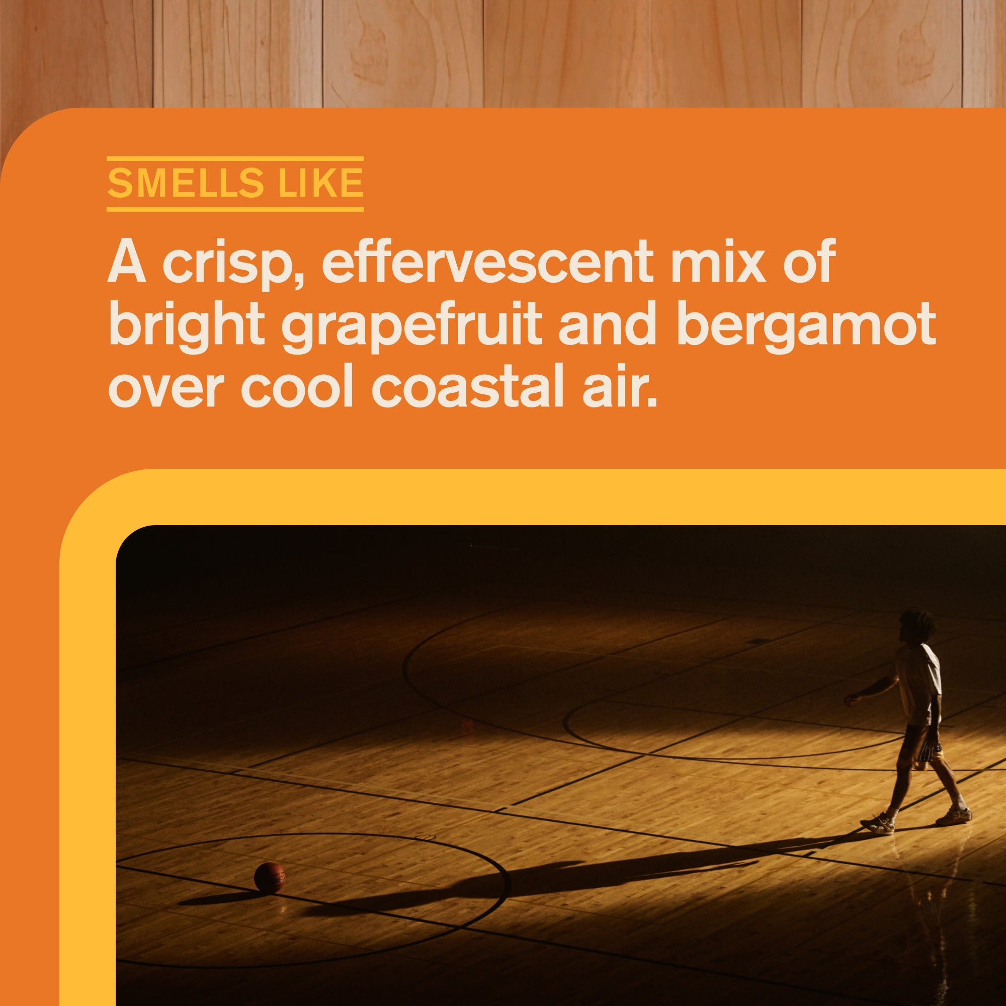 Step Back Splash / Standard