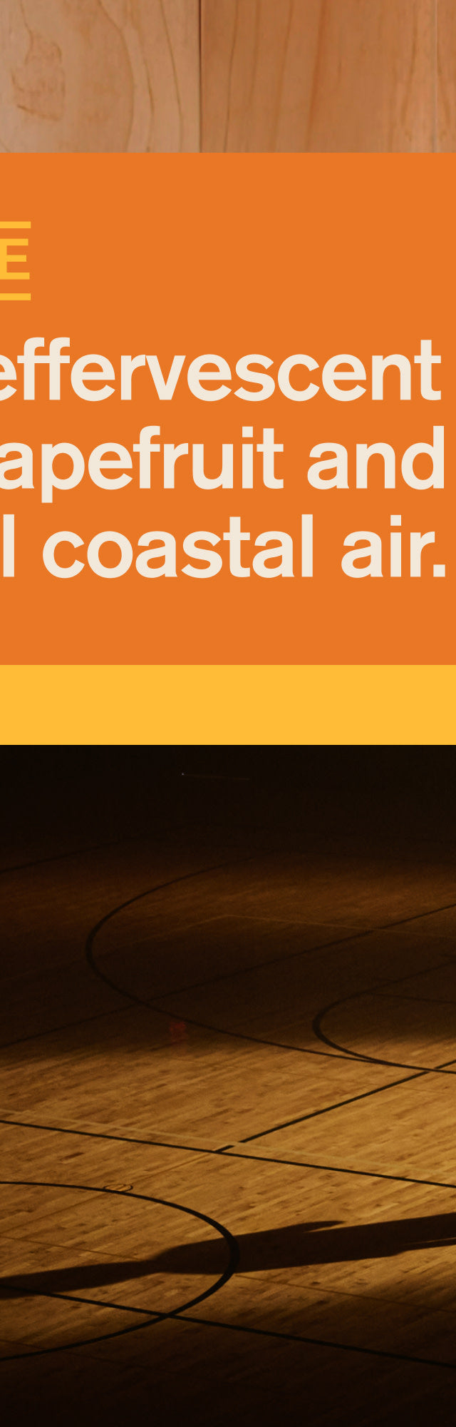 Step Back Splash / Standard