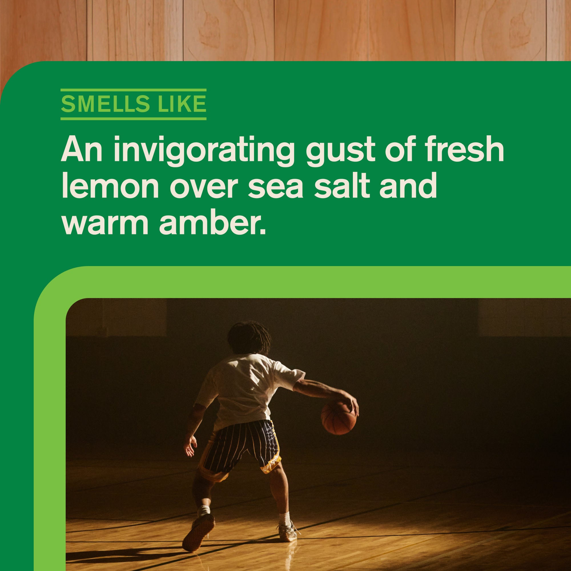 Perfect Bracket Breeze / Standard