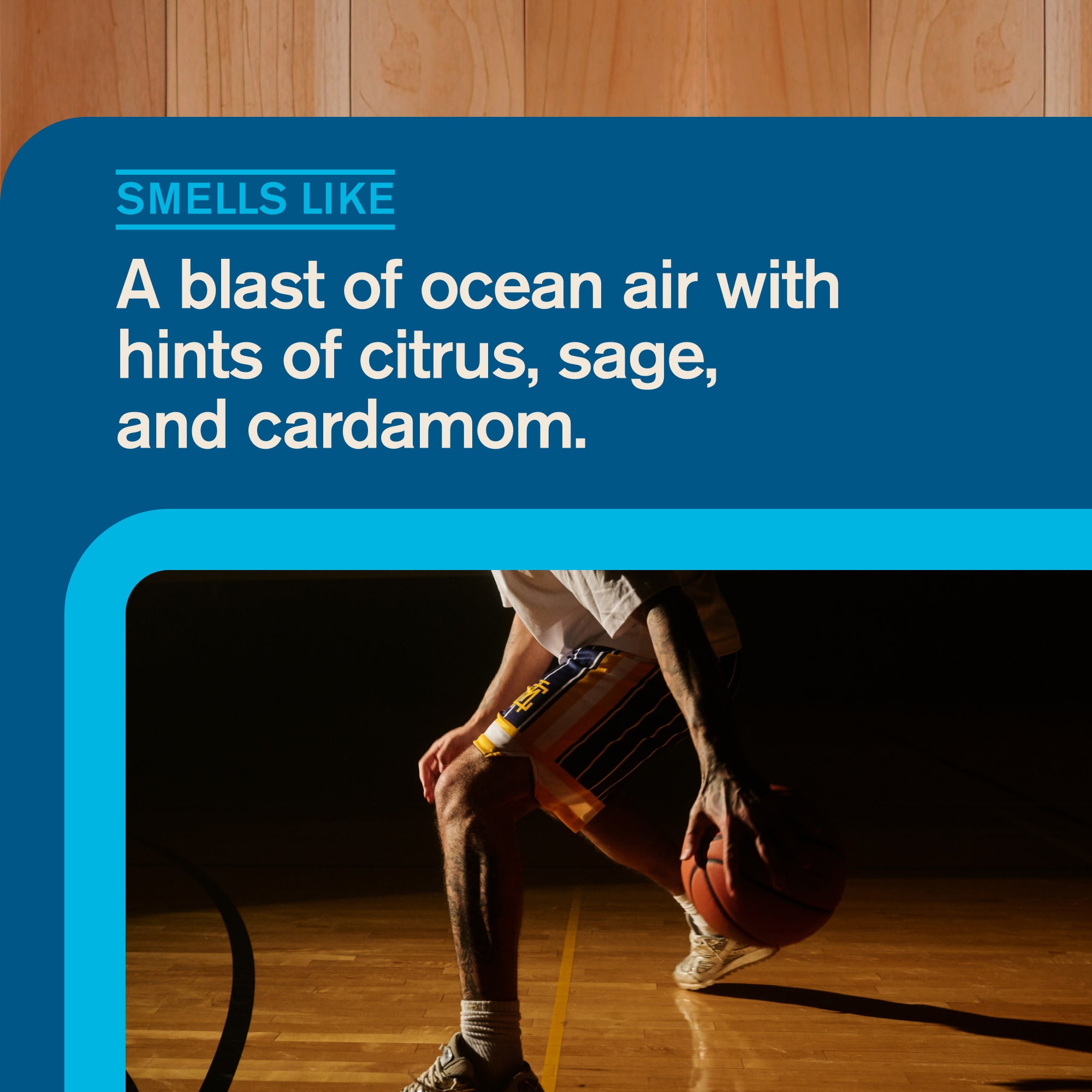 Court Storm Sea Spray / Standard