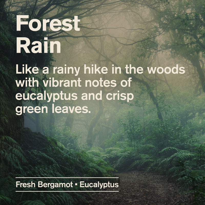 Forest Rain / 16oz