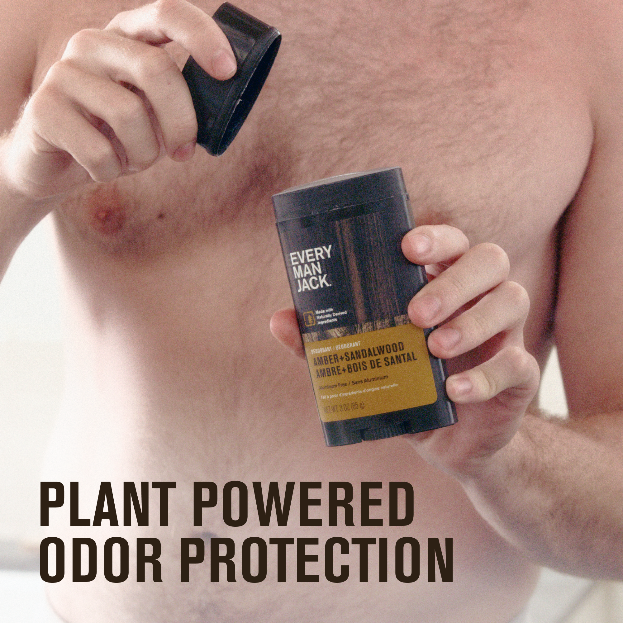 Cedarwood / Standard (7346569805986)