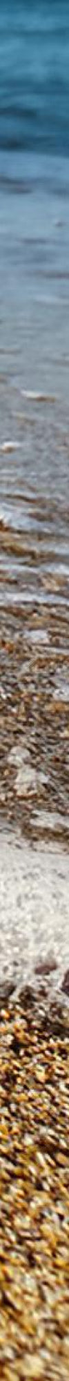 Sea Salt / Standard