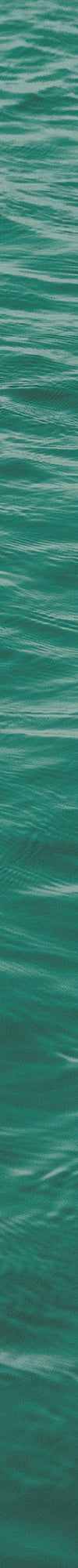 Sea Salt / Standard