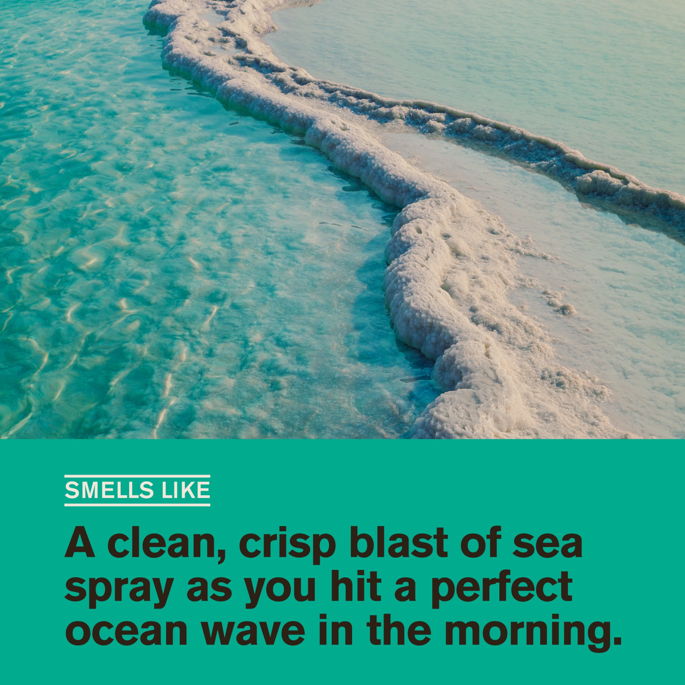 Sea Salt + Citrus / Standard