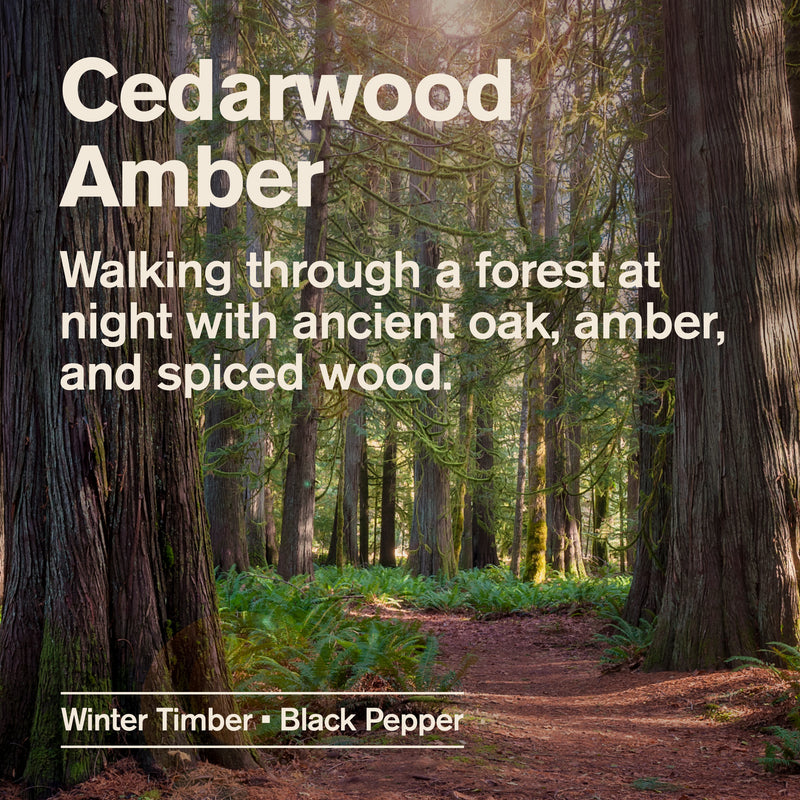 Cedarwood Amber / Standard