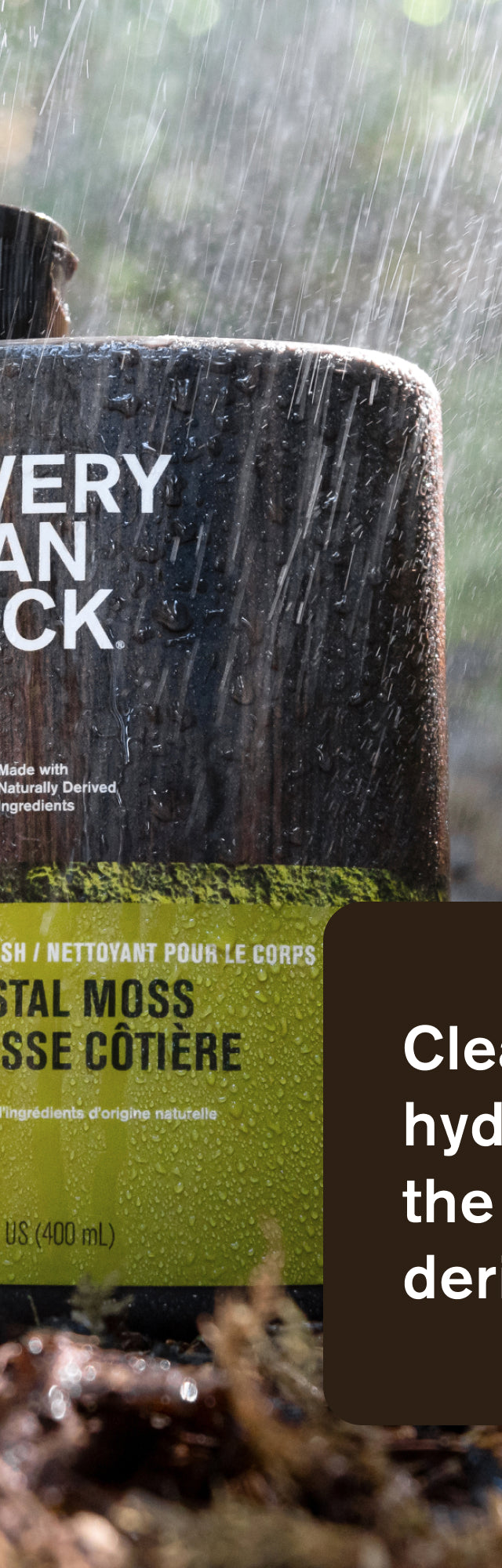 Coastal Moss / Standard