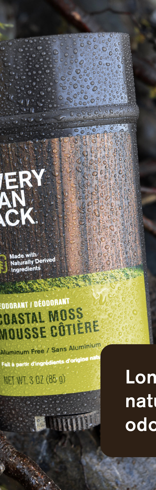 Coastal Moss / Standard