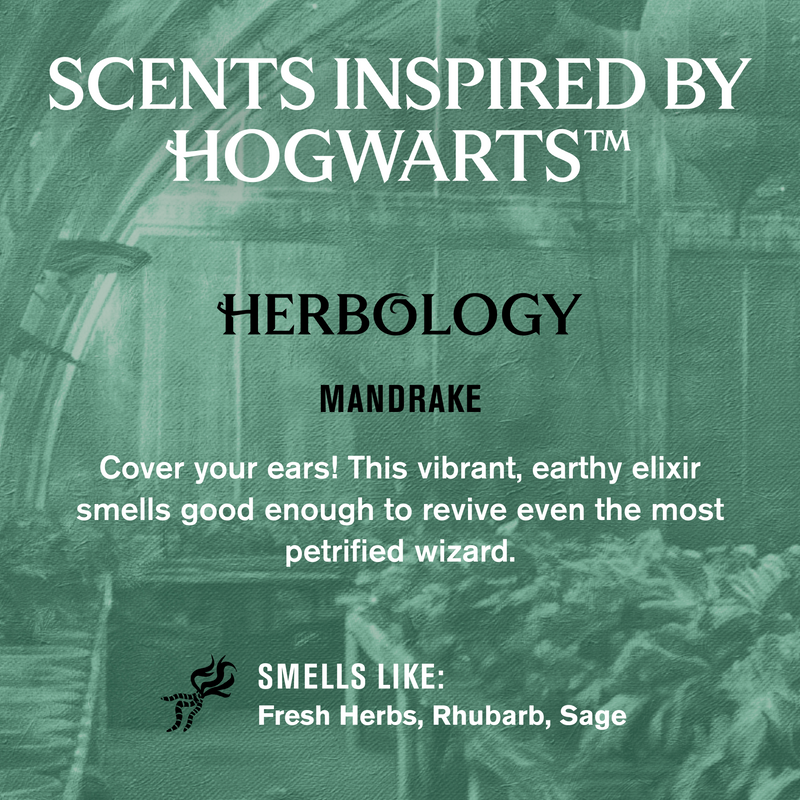 Mandrake (87863901451)