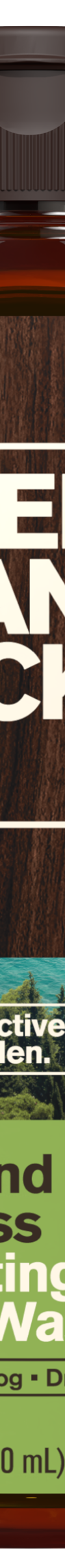 Surf Cypress / Standard