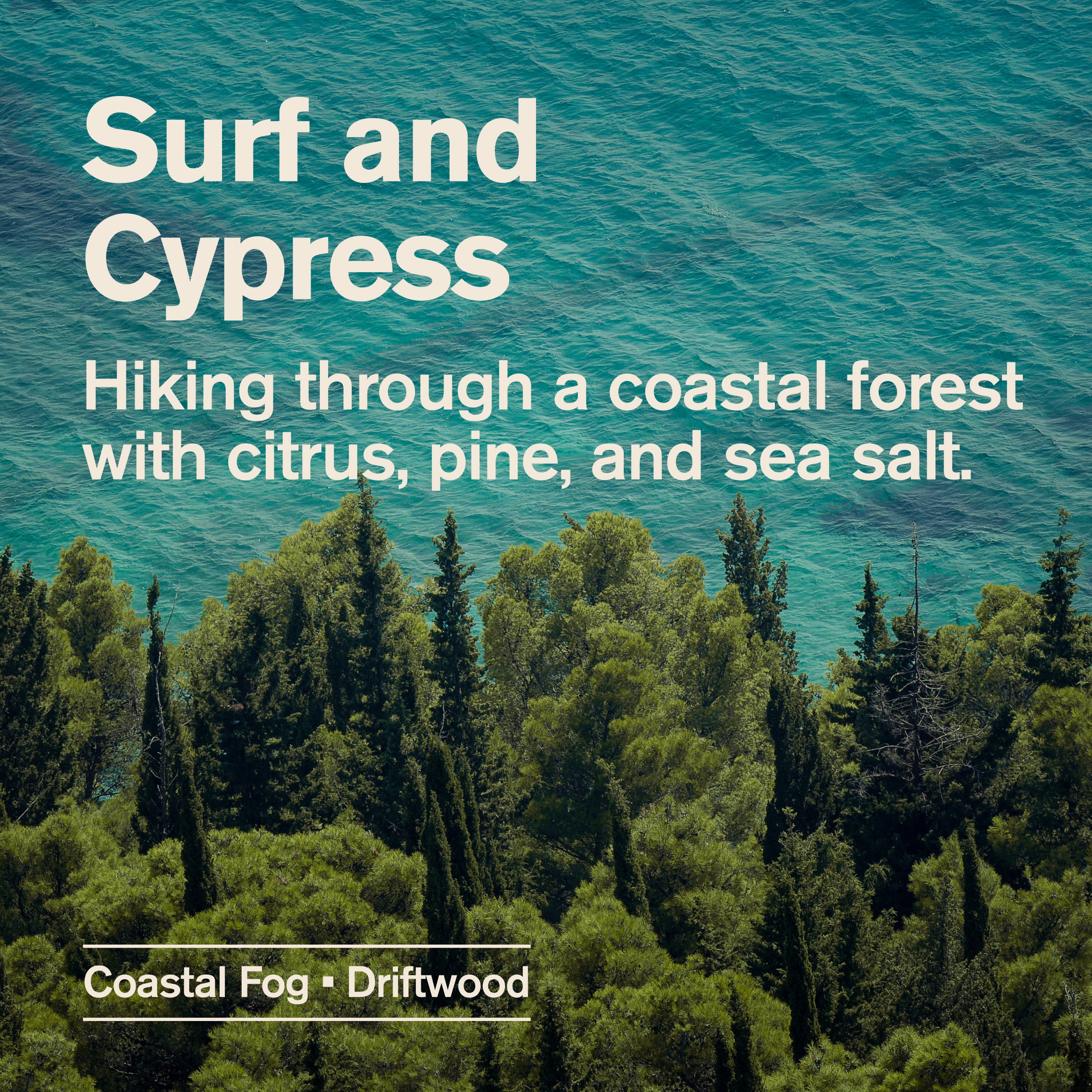 Surf Cypress / Standard