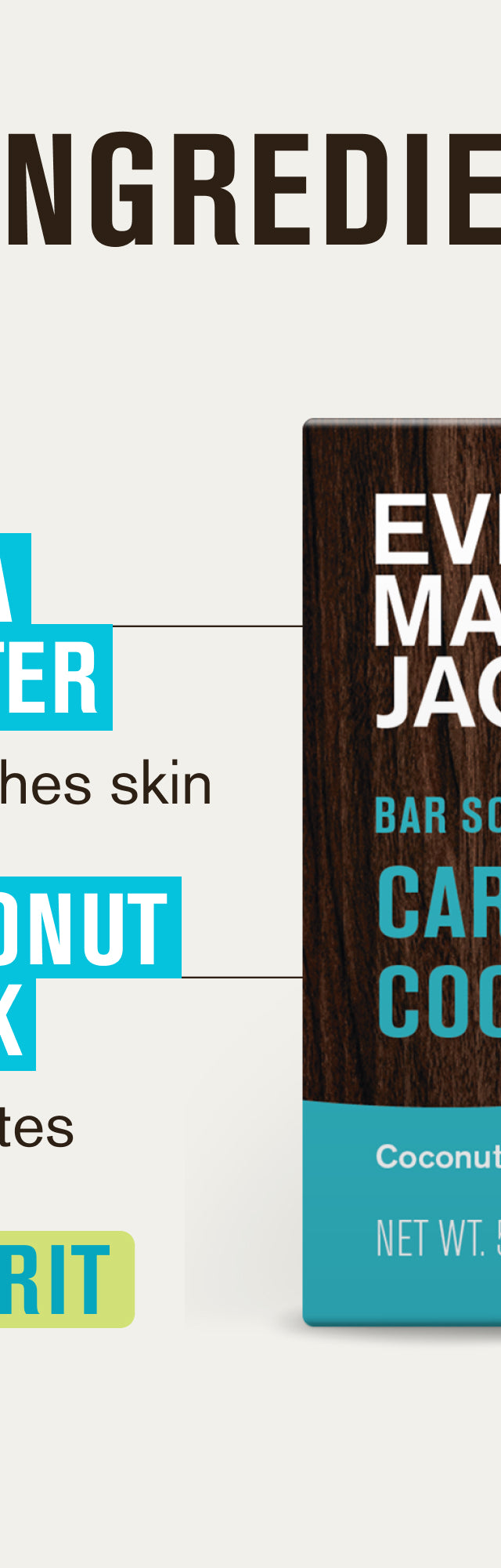 Caribbean Coconut / Standard