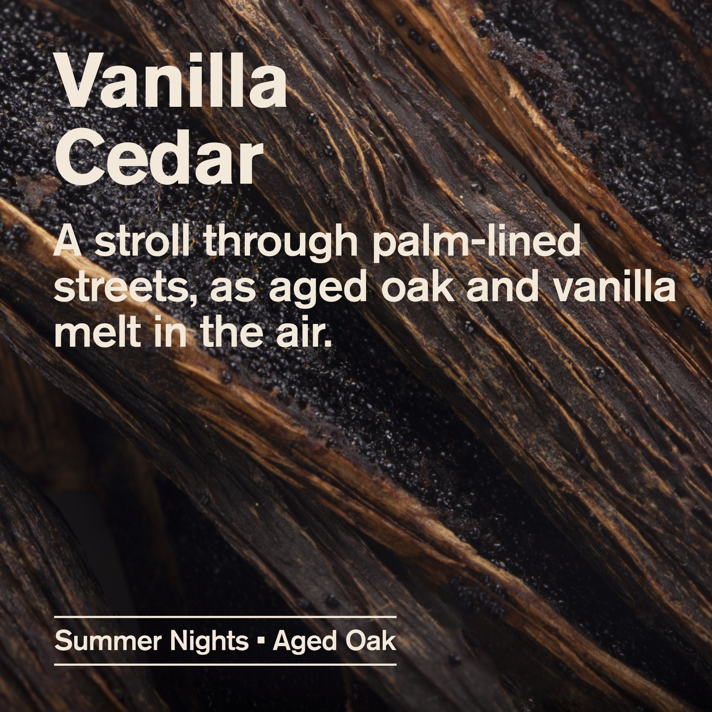 Vanilla + Cedar / Standard