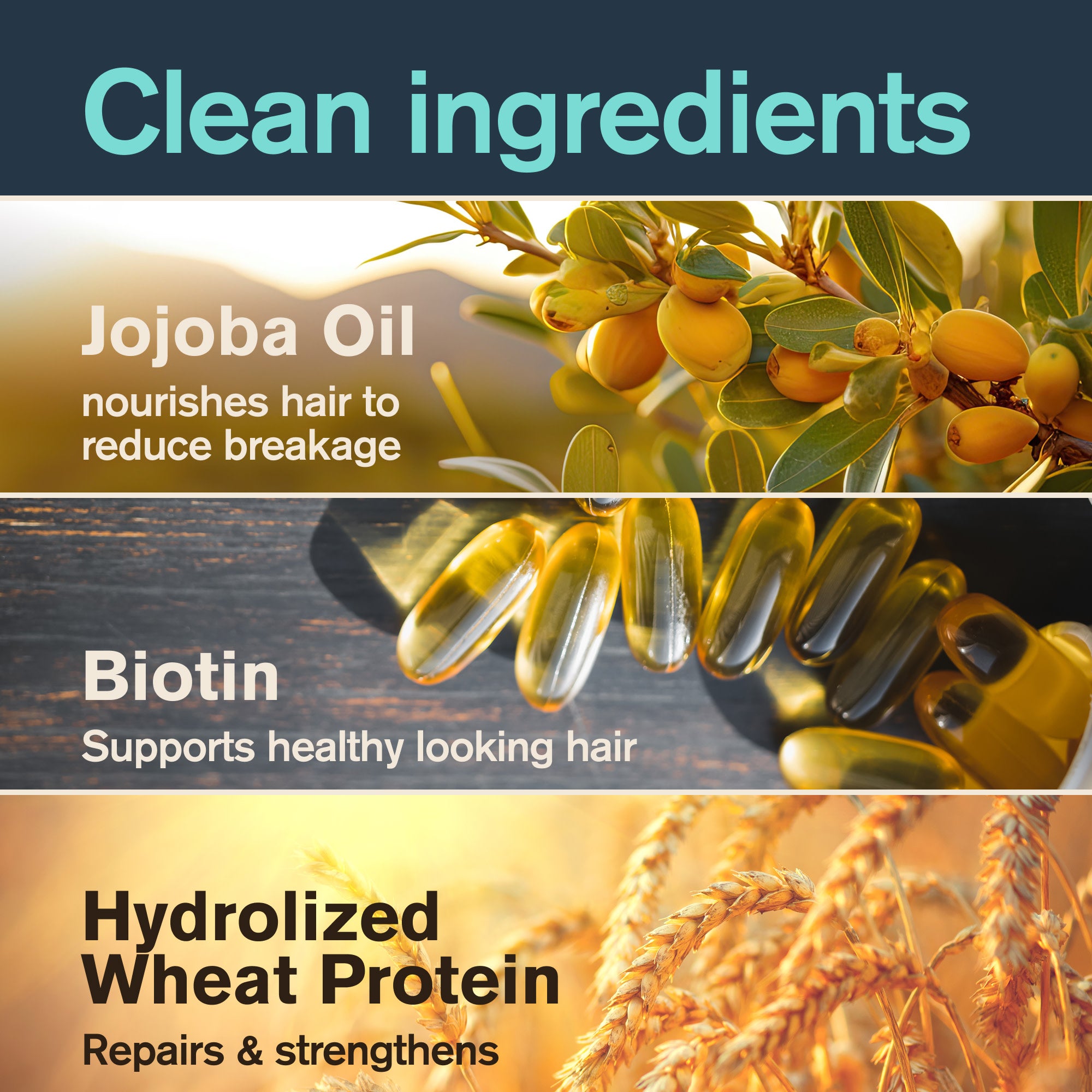 Caribbean Coconut / 12oz