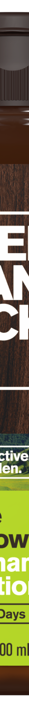 Alpine Meadow / Standard