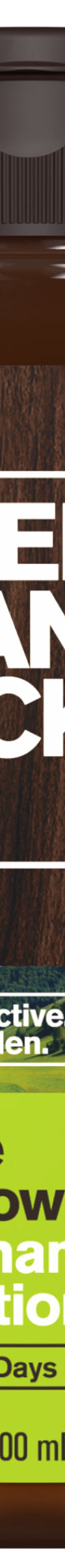 Alpine Meadow / Standard