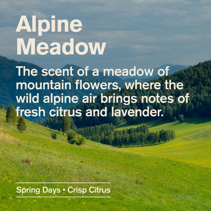 Alpine Meadow / Standard