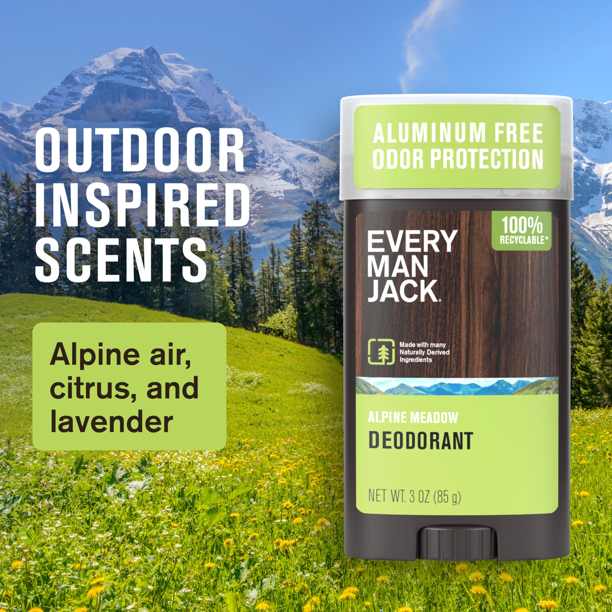 Alpine Meadow / Standard