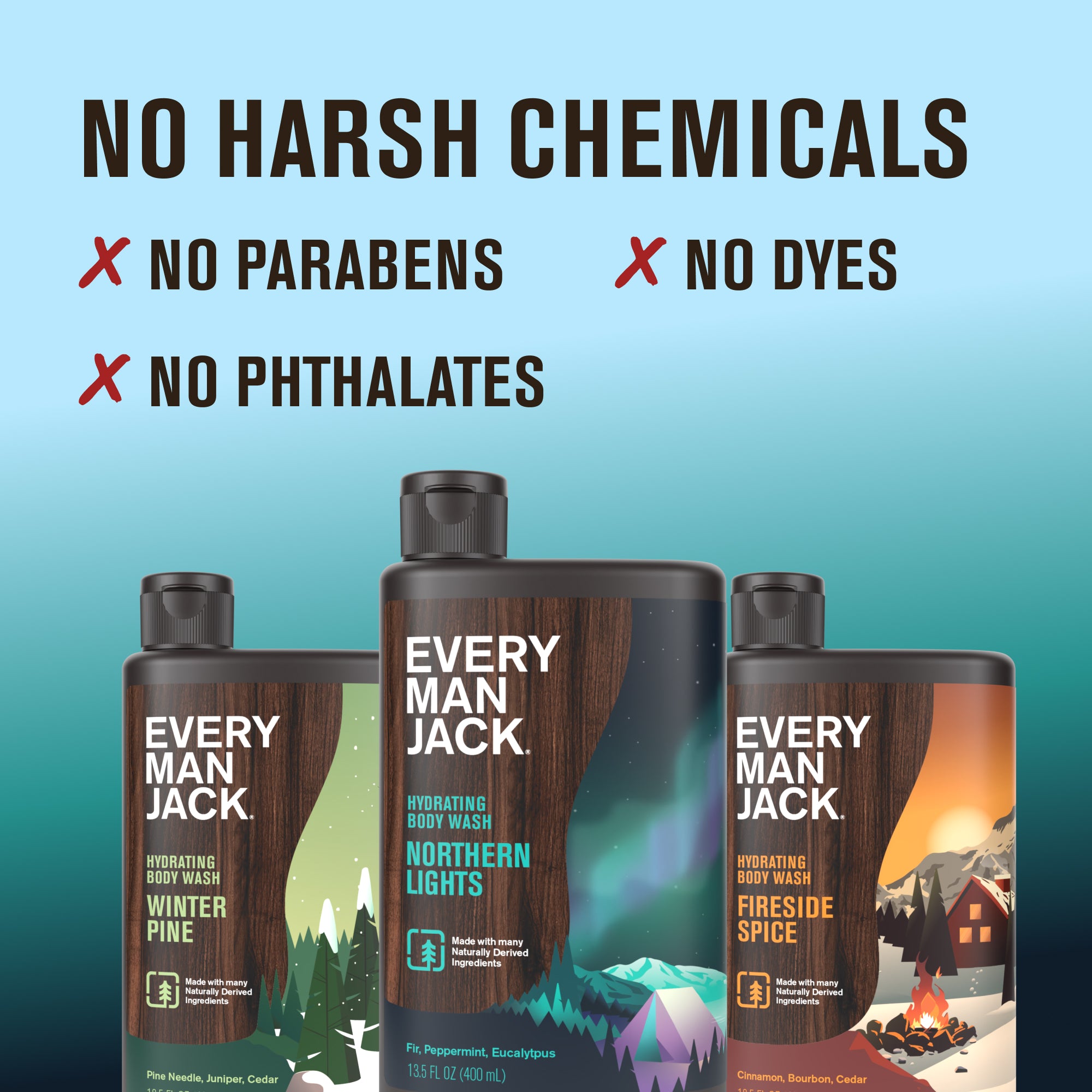 Winter Body Wash Kit