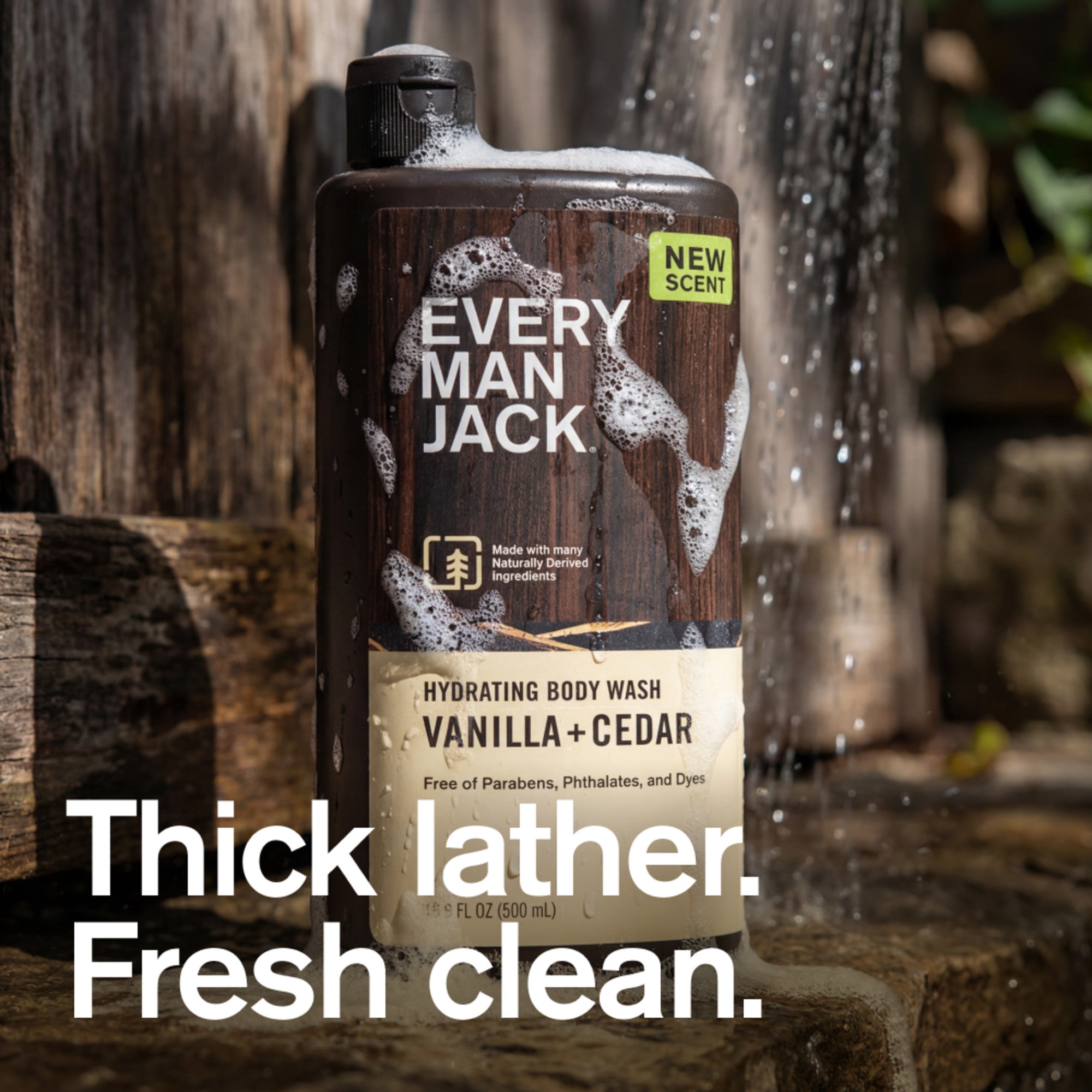 Vanilla + Cedar / Standard